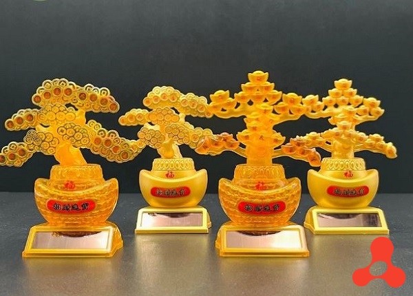 CÂY KIM TIỀN CHIÊU TÀI LỘC MAY MẮN SỬ DỤNG NĂNG LƯỢNG