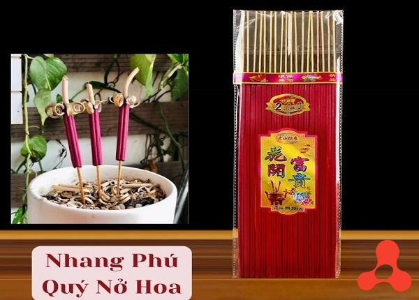 NHANG NỞ HOA PHÚ QUÝ TÀI LỘC