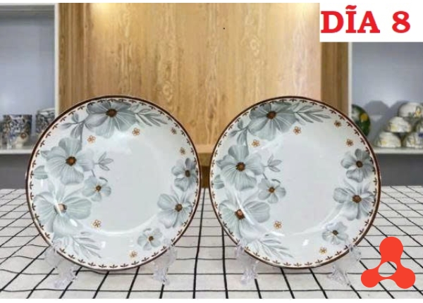 SET 10 ĐĨA SỨ HOA DỪA SIZE 8 ẢO